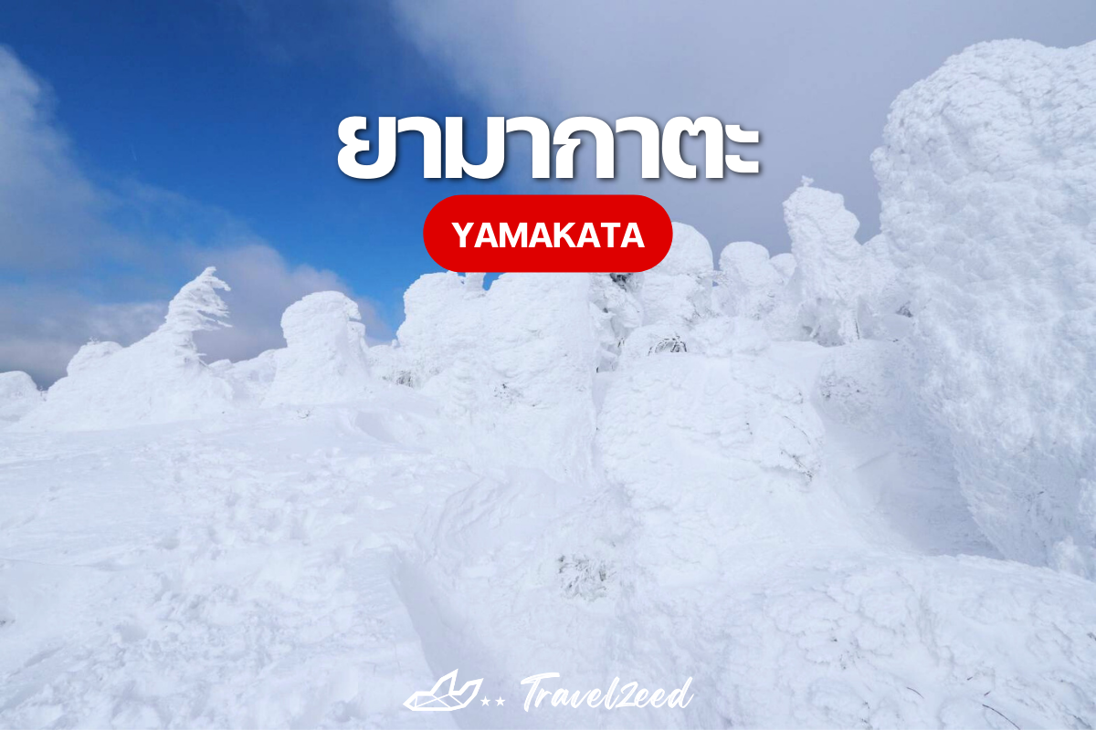 ยามากาตะ Yamakata