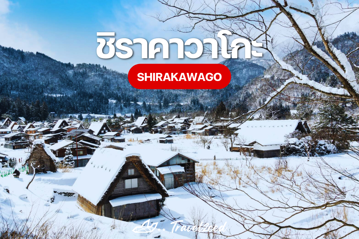 ชิราคาวาโกะ Shirakawago