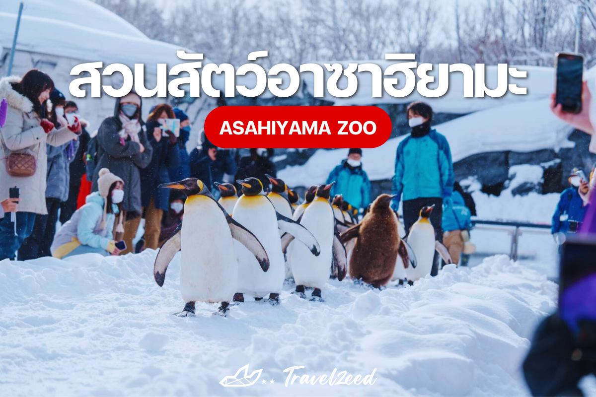 สวนสัตว์อาซาฮิยามะ Asahiyama Zoo