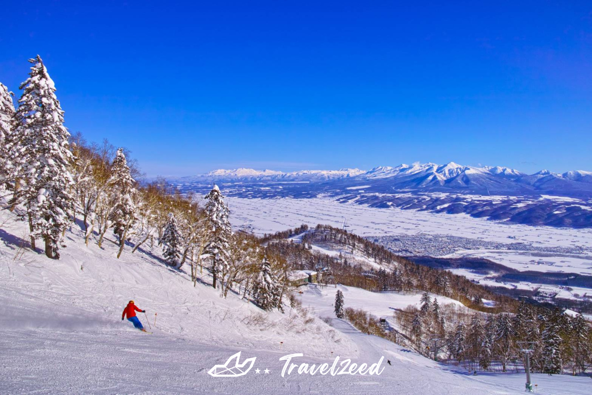 ลานสกีฟูราโน่ (Furano Ski Area)