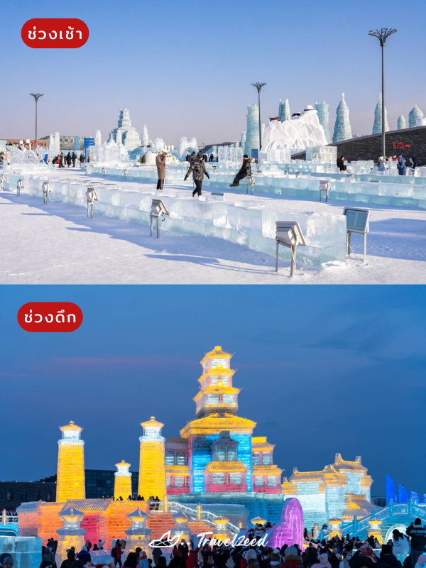 harbin ice festival เทศกาลแกะสลักหิมะ
