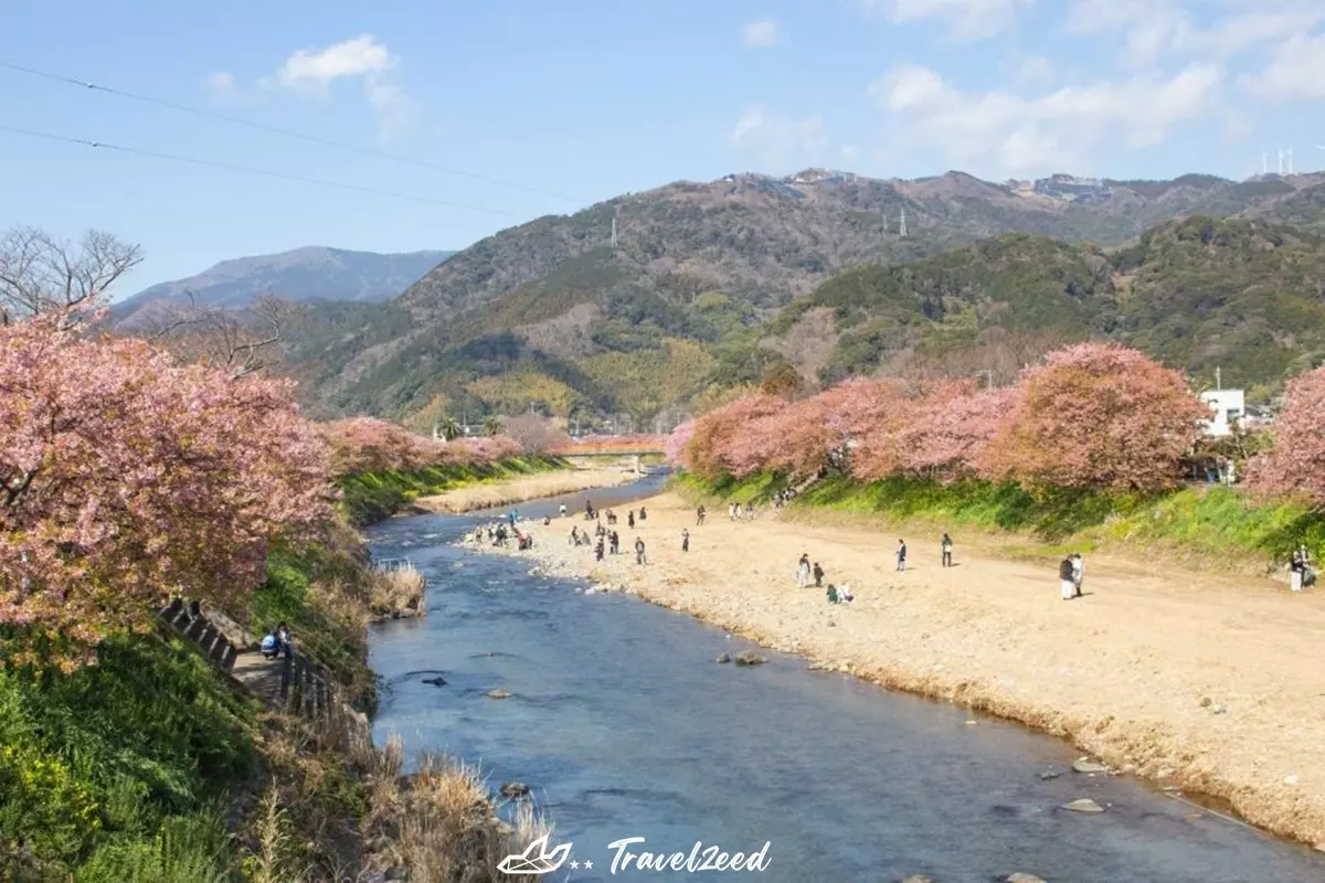 Kawazu River