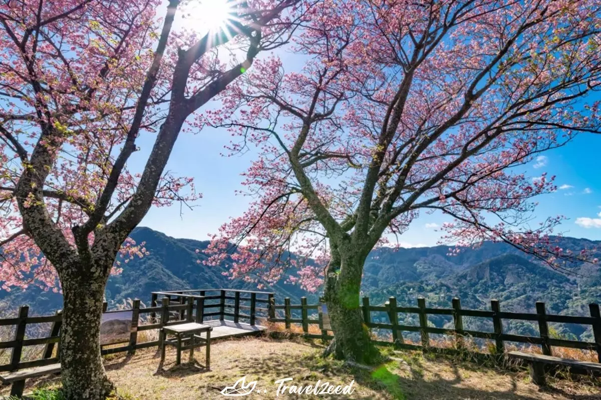 Ruins Park of Kawazu Castle