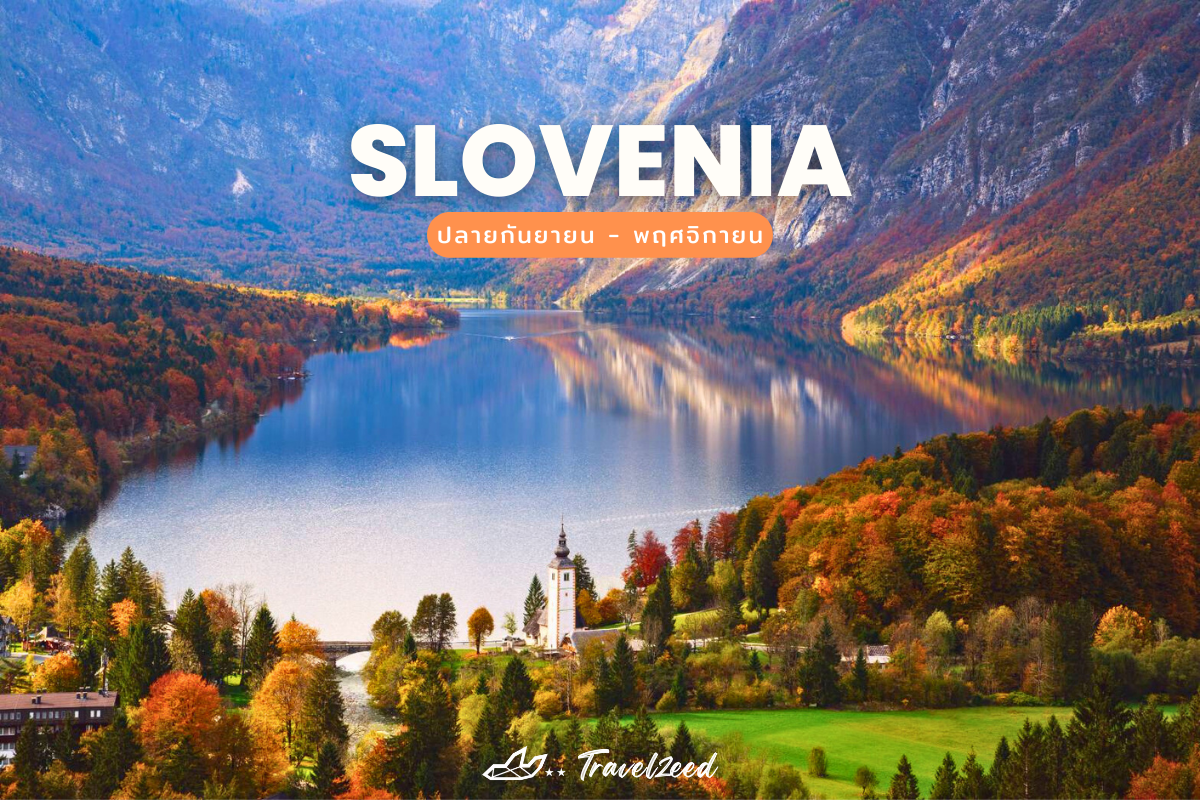 ใบไม้เปลี่ยนสี สโลวีเนีย