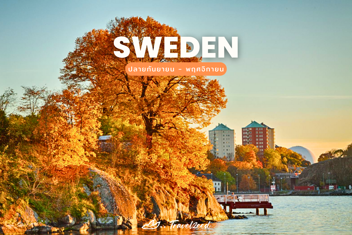 ใบไม้เปลี่ยนสี สวีเดน