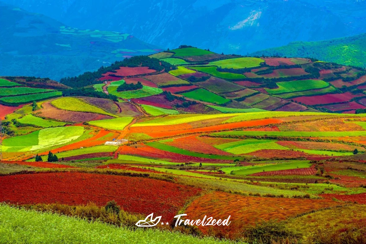 ภูเขาเจ็ดสี (Dongchuan Red Land)