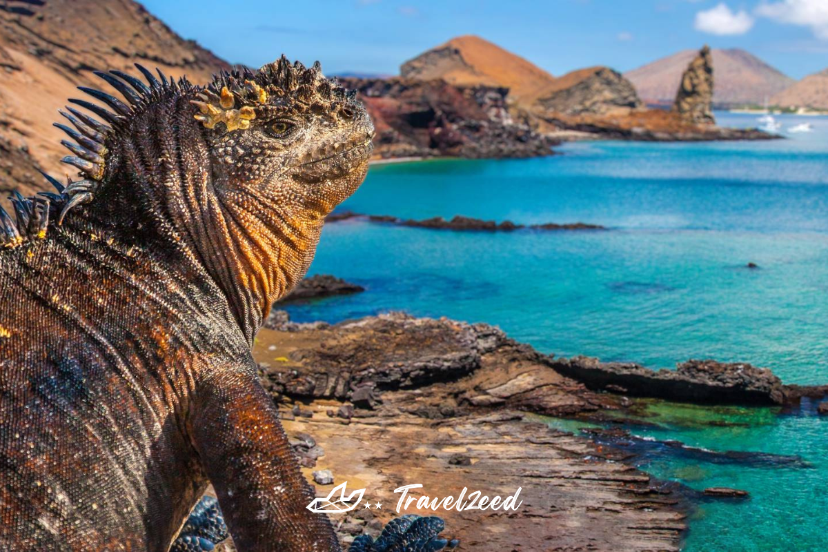 เกาะกาลาปากอส (Galápagos Islands)