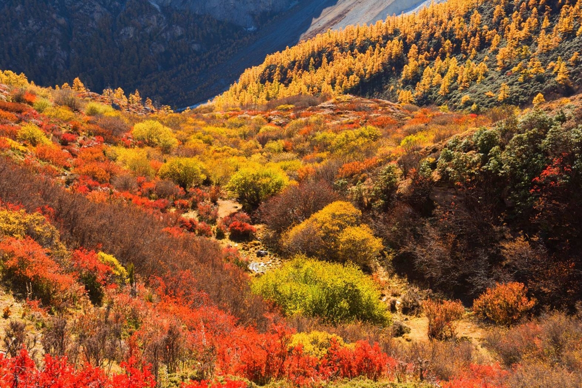 Yading Nature Reserve