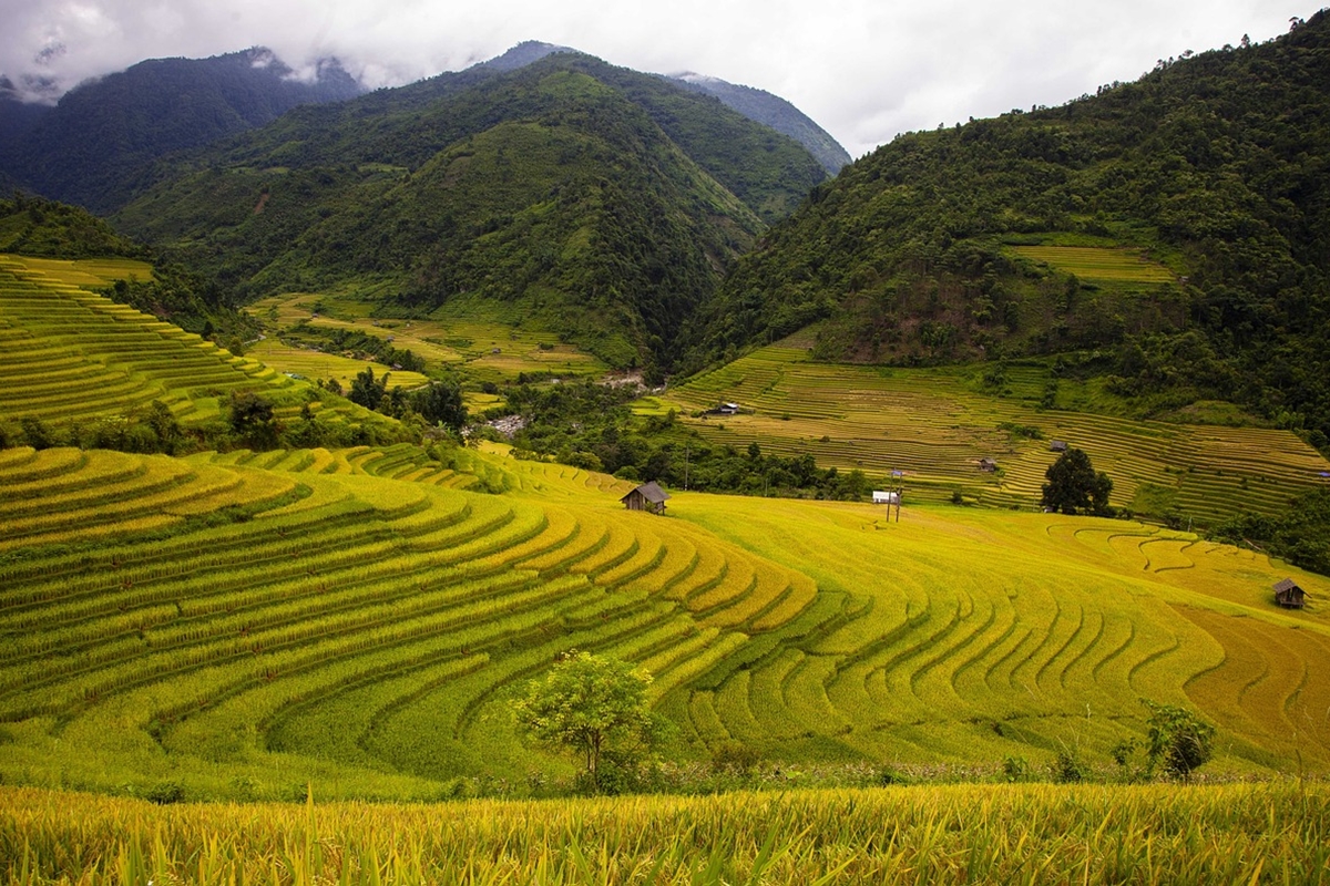 Longji Rice Terraces