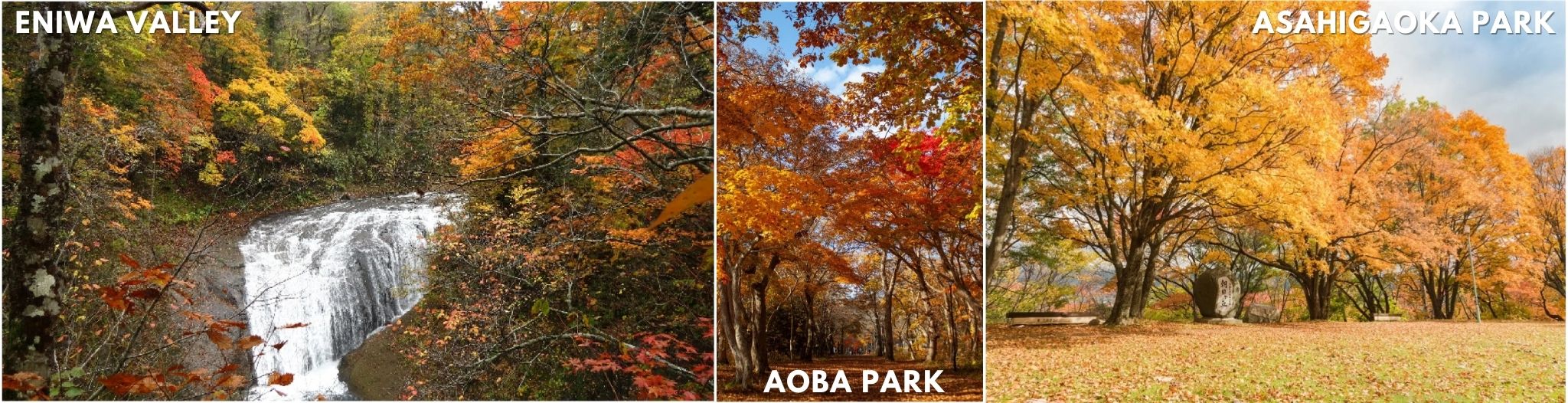 Aoba Park