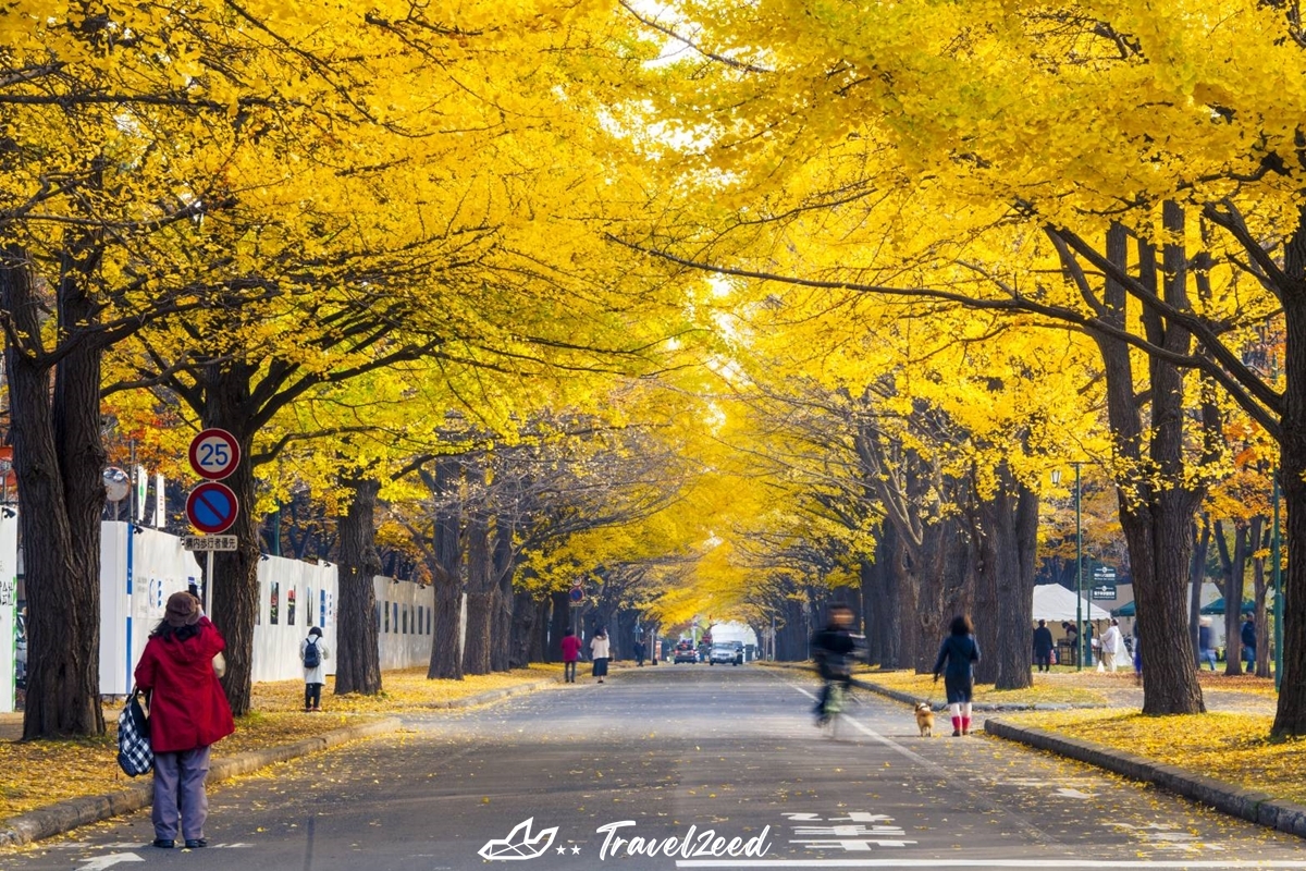 Hokkaido University