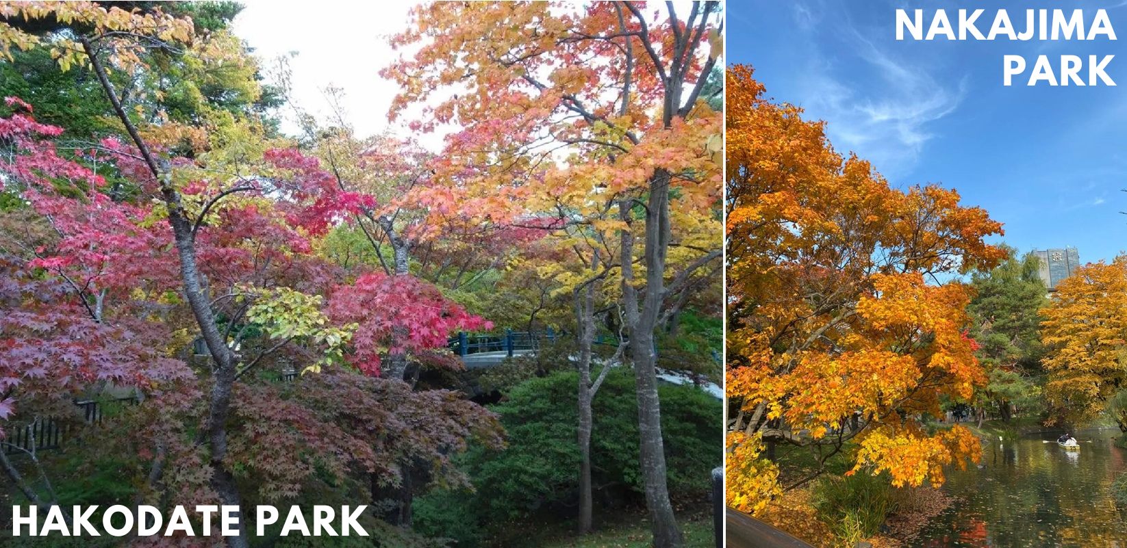 Nakajima Park