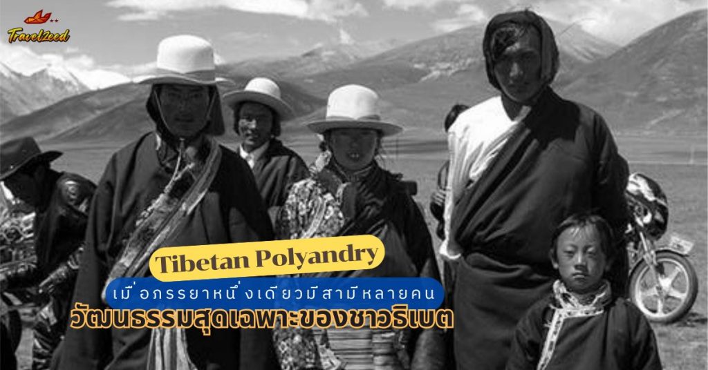 Tibetan Polyandry