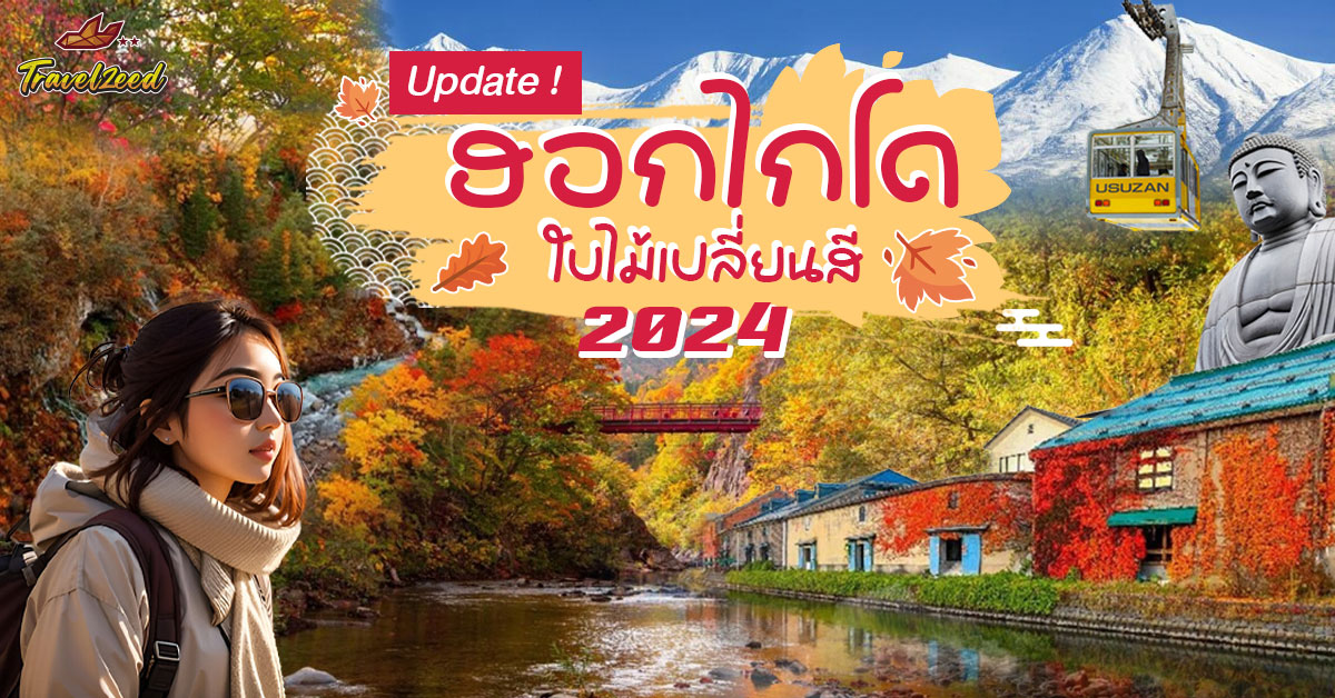 Update !! ใบไม้เปลี่ยนสีญี่ปุ่น ฮอกไกโด 2024