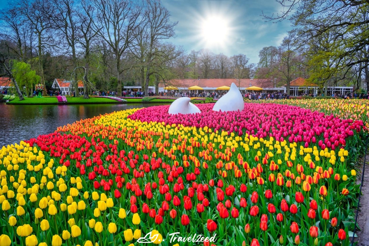 keukenhof1