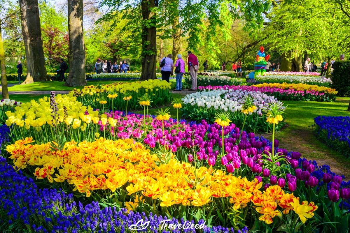 keukenhof3