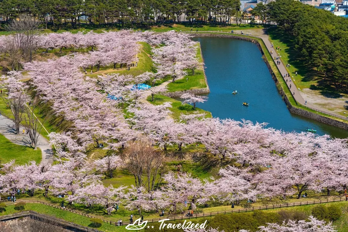 Goryokaku Fort