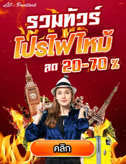 ทัวร์โปรไฟไหม้ ราคาถูก ลดหนักทุกโปรแกรม 20-60%