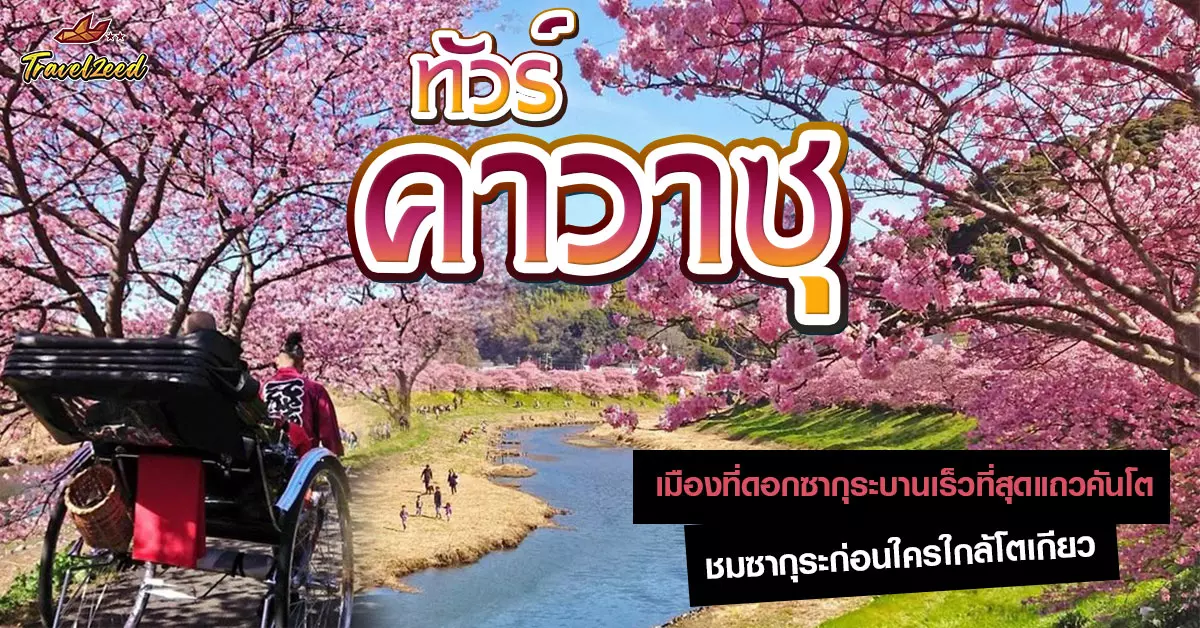 ทัวร์คาวาซุ