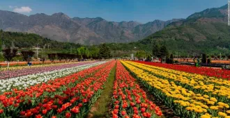 India Kashmir Srinagar Gulmarg Pahalgam Sonamarg Mughal Gardens - ทัวร์อินเดีย แคชเมียร์ ศรีนาคา กุลมาร์ค พาฮาเเกรม โซนามาร์ค ชมสวนโมเลกุล สวรรค์แห่งดอกไม้