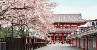 Japan Tokyo Nikko - ทัวร์ญี่ปุ่น โตเกียว นิกโก้ ชมเทศกาลไฟฤดูหนาวซากามิโกะ 