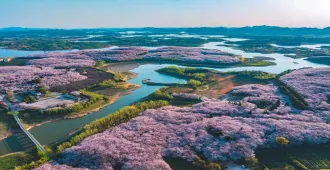 China Guiyang Huangguoshu Waterfall Pingba Cherry Blossom Garden  - ทัวร์จีน กุ้ยหยาง น้ำตกหวงกั่วซู่ ชมซากุระผิงป้า (ไม่ลงร้าน)