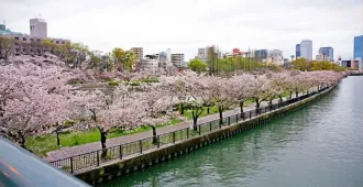 Japan Tokyo Nagoya Narita Hamamatsu Fuji Sakura - ทัวร์ญี่ปุ่น โตเกียว นาโกย่า นาริตะ ฮามามัตสึ ฟูจิ ชมซากุระ (อิสระ 1 วัน) 