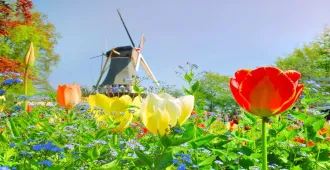 Benelux France Belgium Netherlands Keukenhof Giethoorn - ทัวร์เบเนลักซ์ ฝรั่งเศส เบลเยี่ยม เนเธอร์แลนด์ สวนเคอเคนฮอฟ หมู่บ้านกีร์ธูรน์