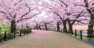 Japan Tokyo Narita Ibaraki Fuji Sakura - ทัวร์ญี่ปุ่น มหัศจรรย์... โตเกียว นาริตะ อิบารากิ ฟูจิ ชมดอกซากุระสวนอูเอโนะ