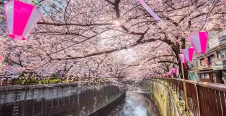 Japan Tokyo Narita Kanagawa Meguro River Ueno Sakura - ทัวร์ญี่ปุ่น  โตเกียว นาริตะ คานางาวะ แม่น้ำเมกุโระ ชมซากุระอูเอโนะ