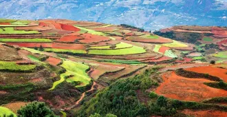 China Kunming Jiaozi Snow Mountain Dongchuan - ทัวร์จีน คุนหมิง ภูเขาหิมะเจี้ยวจื่อ แผ่นดินสีแดงตงชวน ชมเทศกาลดอกไม้ (ลงร้าน)