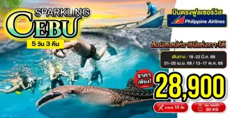 Sparkling Cebu - ทัวร์เซบู ดำน้ำดูฉลามวาฬออสล็อบ เกาะโบโฮล