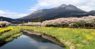 Japan Fukuoka Kumamoto Beppu Sakura - ทัวร์ญี่ปุ่น ฟุกุโอกะ คุมาโมโตะ เบปปุ ชมซากุระ