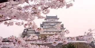 Japan Osaka Sakura Himeji - ทัวร์ญี่ปุ่น โอซาก้า ซากุระ ฮิเมจิ